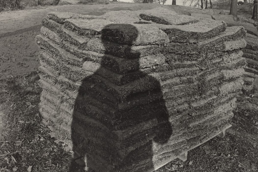 This is a photograph of a stack of sods with a shadow cast upon them. The image captures a substantial pile of neatly stacked sods arranged in an orderly fashion on a pallet in an outdoor setting. The texture of the sods is rough and earthy, with layers clearly visible, showcasing the composition of soil and roots. The ground is covered with scattered leaves. The shadow of an indistinct form is cast across the stacked sod. There are trees in the background.