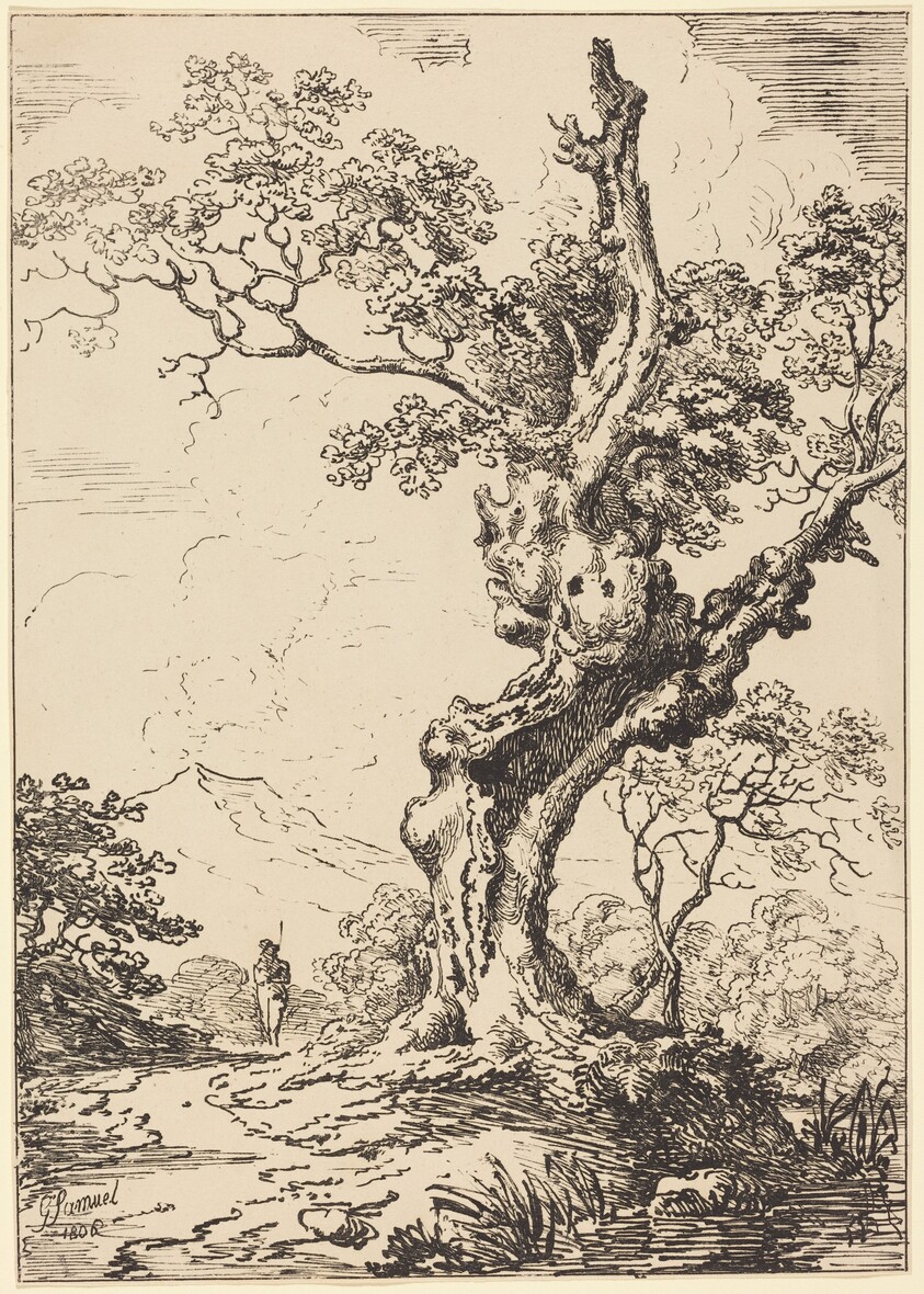Study of an Old Oak Tree, Water on Right, a Man on Left