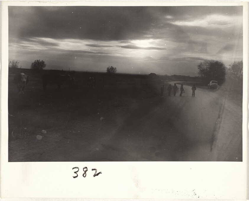 Children on road beside pasture--New Mexico