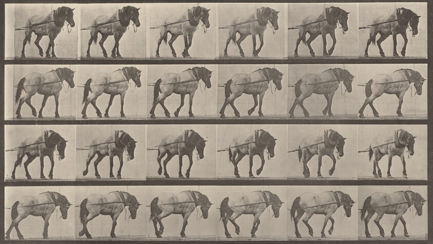 Plate Number 570. "Hansel" hauling