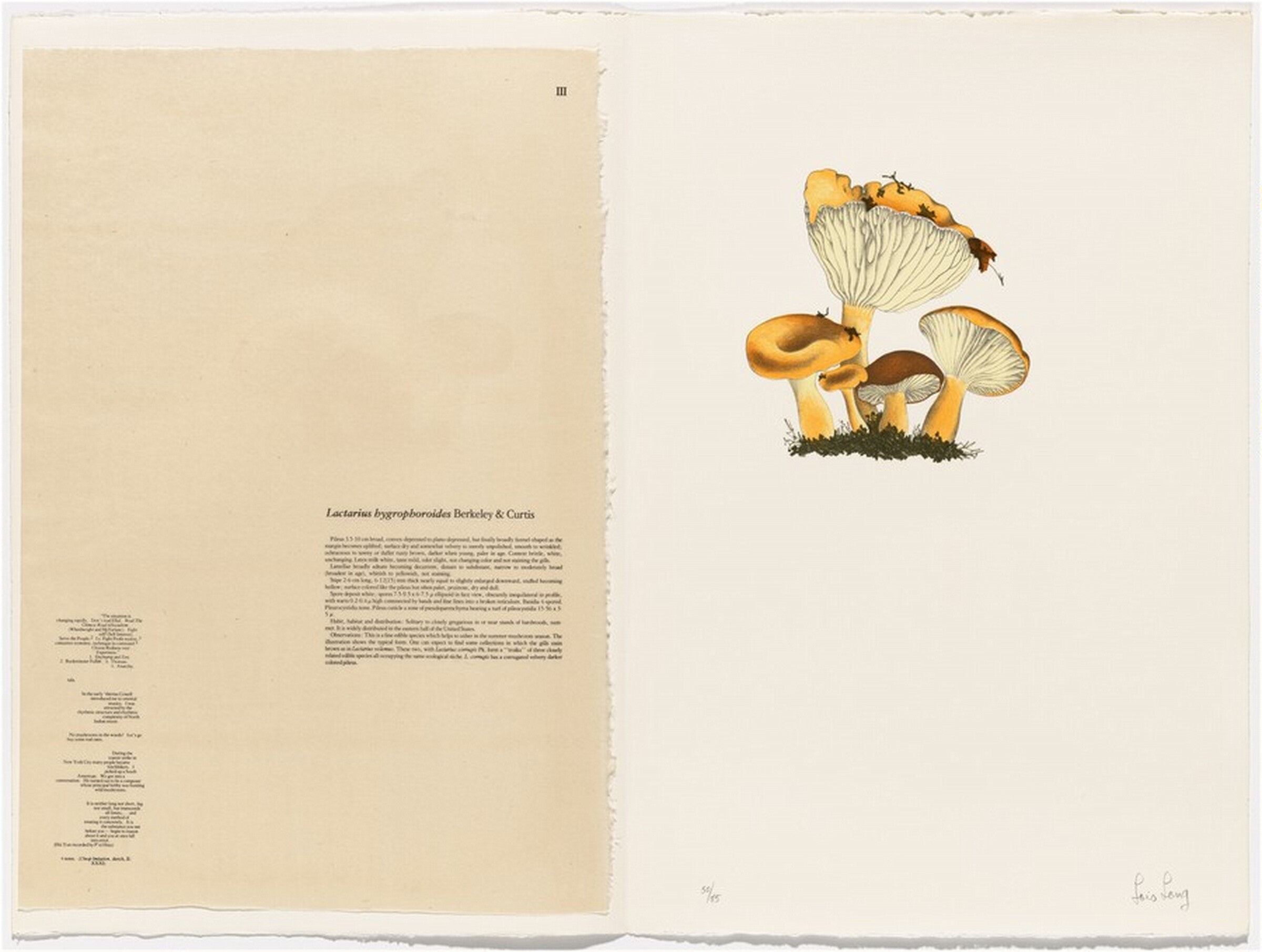Untitled, Lois Long, 1972