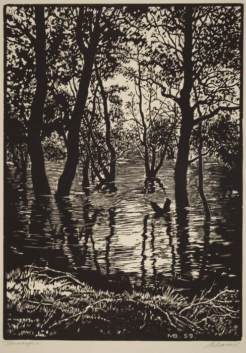 The image shows a dense forest with tall trees next to a reflective body of water. The viewpoint is low, looking across the water with ripples reflecting the trees and sky. The horizon is low, emphasizing the towering trees forming a canopy with light filtering through. The style resembles a woodcut or linocut print, with bold strokes creating high contrast. The color palette is monochromatic, focusing on black and white to highlight light and shadow. Textured grassy land is visible in the foreground.