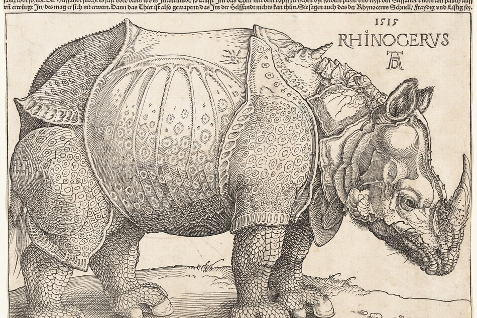 Printed with black lines on cream-white paper, a rhinoceros facing our right in profile fills this horizontal woodcut. The rhinoceros’s horn touches the border to the right and its hindquarters the left. Its left foot, farther from us, stands slightly ahead of its right hoof. Its front feet are close together and its head is lowered. Chunky, armor-like plates covering its body are patterned in some areas, especially on its legs and belly, with rings and dots, creating a mottled effect. The skin on its legs is scaly like a fish or reptile. A short, twisted, unicorn-like horn grows from between its shoulders, and the animal’s lower lip and the ear we see is fuzzy with short hairs. Near the upper right, in the corner near the animal's shoulders, the print is inscribed, “1515 RHINOCERVS.” Below, the artist’s initials appear as a monogram, with an upper case D tucked within the legs of an A. Five rows of tightly spaced German writing runs across the top edge of the paper, above the single-line border framing the animal. It reads, "Nach Christus gepurt. 1513. Jar. Adi. 1. May. Hat man dem groszmechtigen Kunig von Portugall Emanuell gen Lysabona pracht ausz India ein sollich lebendig Thier. Das nennen sie Rhinocerus. Das ist hye mit aller seiner gestalt Abconderfet. Es hat ein farb wie ein gespreckelte Schildtkrot. Und ist von dicken Schalen uberlegt fast fest. Und ist in der grösz als der Helfandt Aber nydertrechtiger von paynen und fast werhafftig. Es hat ein scharff starck Horn vorn auff der nasen Das Begyndt es albeg zu werzen wo es Bey staynen ist. Das dosig Thier ist des Helffantz todt feyndt. Der Helffandt furcht es fast ubel dann wo es In ankumbt so laufft Im das Thier mit dem kopff zwischen dye fordern payn und reyst den Helffandt unden am pauch auff un erwürgt In des mag er sich nit erwern. Dann das Thier ist also gewapent das Im der Helffandt nichts kan thun. Sie sagen auch das der Rhynocerus Schnell Fraydig und Listig sey."