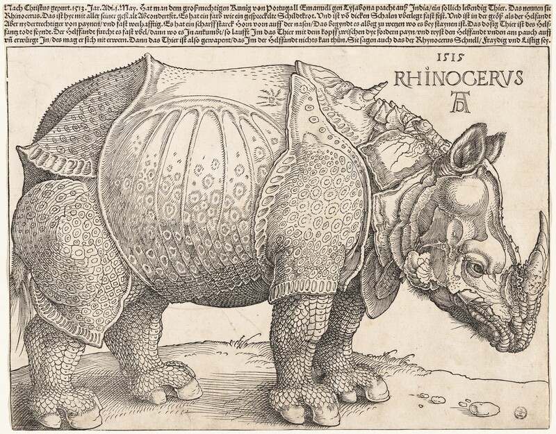 Printed with black lines on cream-white paper, a rhinoceros facing our right in profile fills this horizontal woodcut. The rhinoceros’s horn touches the border to the right and its hindquarters the left. Its left foot, farther from us, stands slightly ahead of its right hoof. Its front feet are close together and its head is lowered. Chunky, armor-like plates covering its body are patterned in some areas, especially on its legs and belly, with rings and dots, creating a mottled effect. The skin on its legs is scaly like a fish or reptile. A short, twisted, unicorn-like horn grows from between its shoulders, and the animal’s lower lip and the ear we see is fuzzy with short hairs. Near the upper right, in the corner near the animal's shoulders, the print is inscribed, “1515 RHINOCERVS.” Below, the artist’s initials appear as a monogram, with an upper case D tucked within the legs of an A. Five rows of tightly spaced German writing runs across the top edge of the paper, above the single-line border framing the animal. It reads, "Nach Christus gepurt. 1513. Jar. Adi. 1. May. Hat man dem groszmechtigen Kunig von Portugall Emanuell gen Lysabona pracht ausz India ein sollich lebendig Thier. Das nennen sie Rhinocerus. Das ist hye mit aller seiner gestalt Abconderfet. Es hat ein farb wie ein gespreckelte Schildtkrot. Und ist von dicken Schalen uberlegt fast fest. Und ist in der grösz als der Helfandt Aber nydertrechtiger von paynen und fast werhafftig. Es hat ein scharff starck Horn vorn auff der nasen Das Begyndt es albeg zu werzen wo es Bey staynen ist. Das dosig Thier ist des Helffantz todt feyndt. Der Helffandt furcht es fast ubel dann wo es In ankumbt so laufft Im das Thier mit dem kopff zwischen dye fordern payn und reyst den Helffandt unden am pauch auff un erwürgt In des mag er sich nit erwern. Dann das Thier ist also gewapent das Im der Helffandt nichts kan thun. Sie sagen auch das der Rhynocerus Schnell Fraydig und Listig sey."
