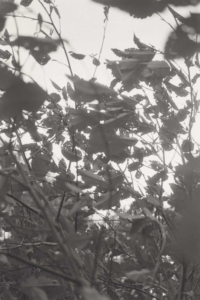 Neahkahnie Mountain, Oregon