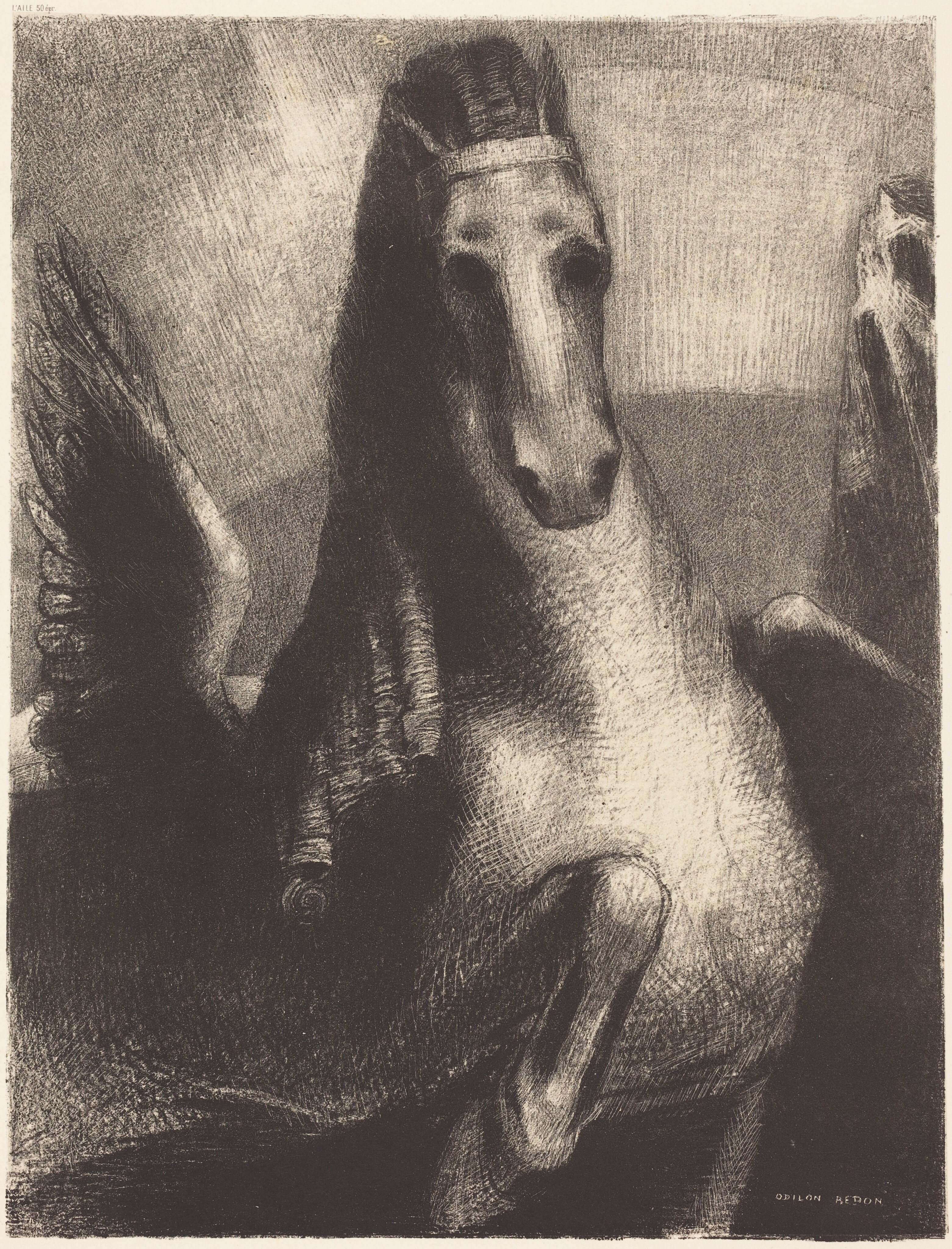 Odilon Redon、Tete de Jeune Femme de Prof Head of a Young Woman | Harvard Art Museums