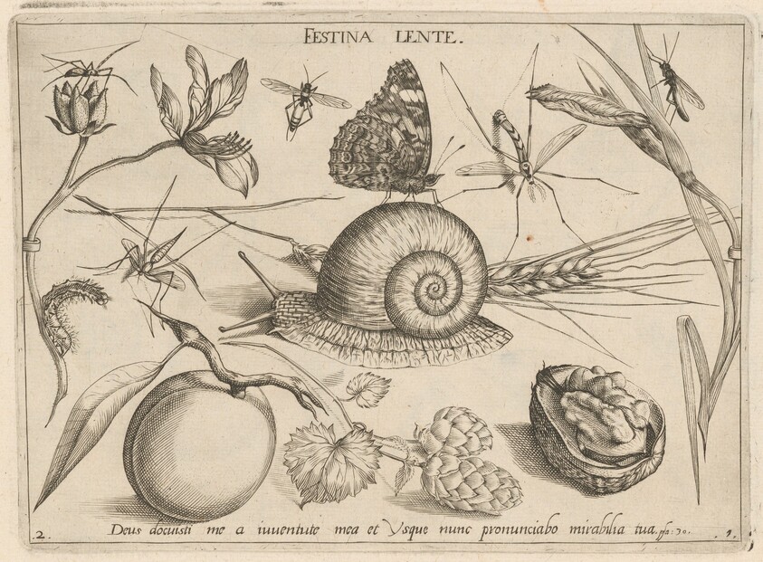 Archetypa studiaque patris Georgii Hoefnagelii [Part 1, Plate 2]