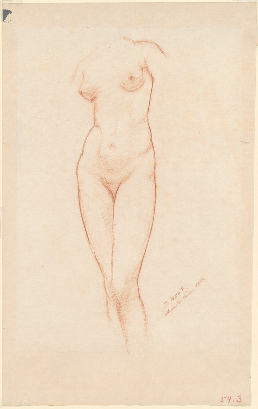 Nude Female Torso