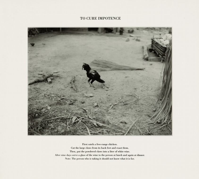 To Cure Impotence, Grande Sertão Veredas National Park, Brazil