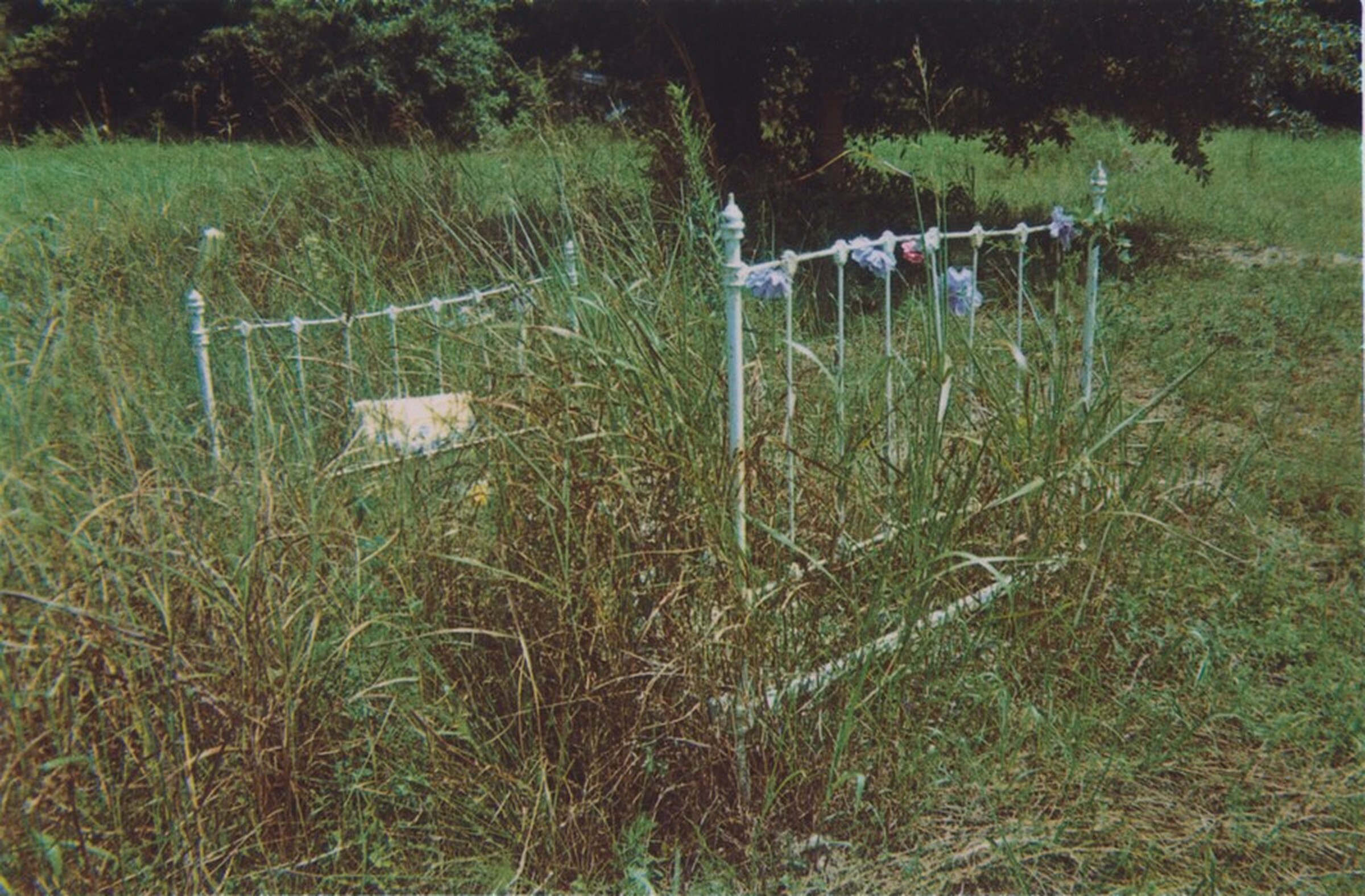 Grave V, William Christenberry, 1965, printed 1982