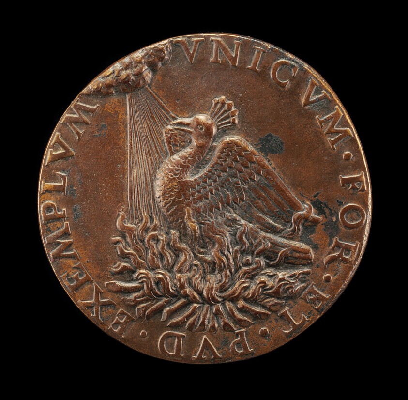 Phoenix on a Pyre Looking at the Sun [reverse]