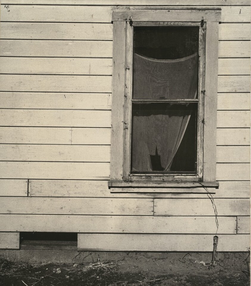Tattered Curtain in Window, Pomona, California