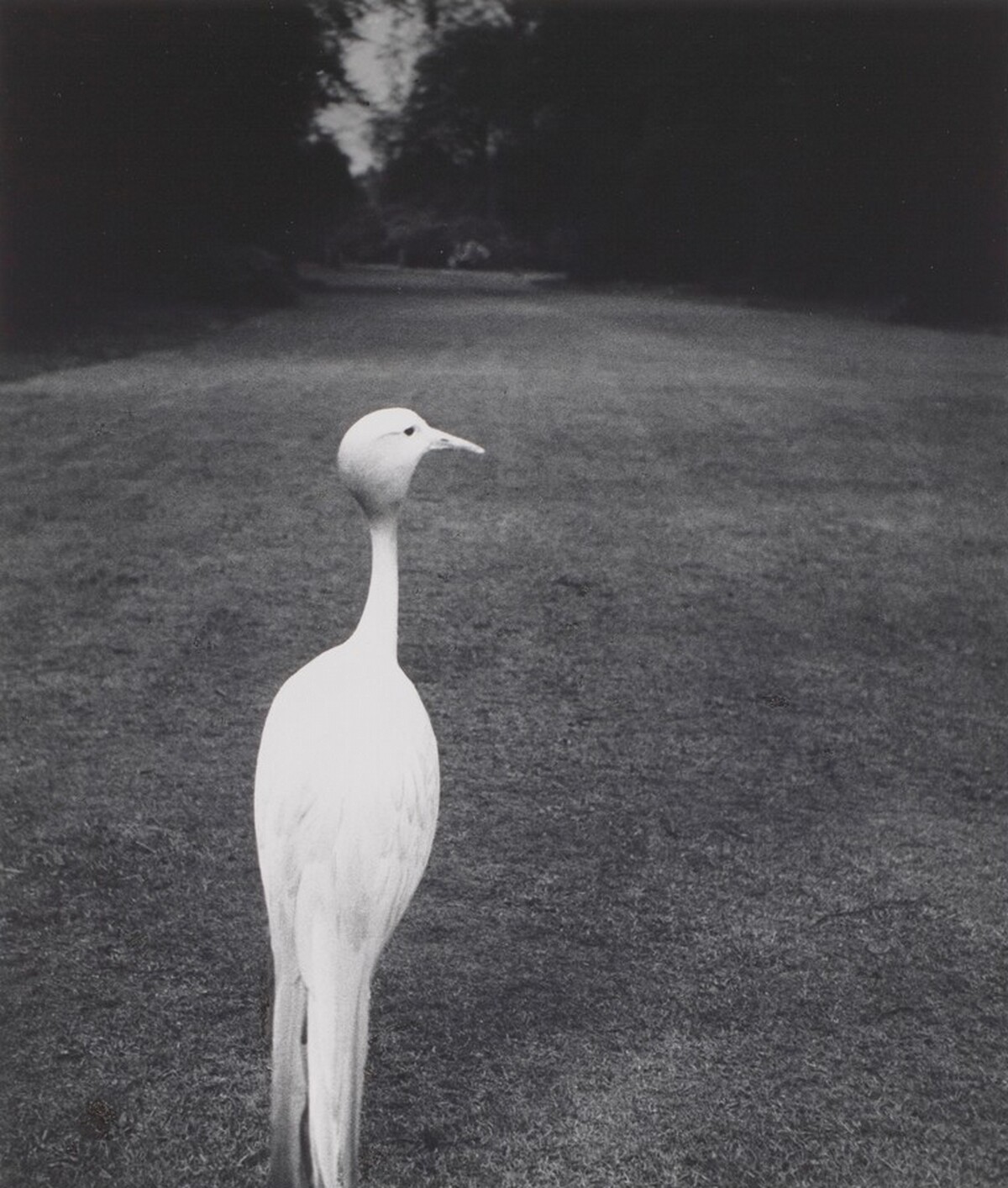 Evening at Kew Gardens