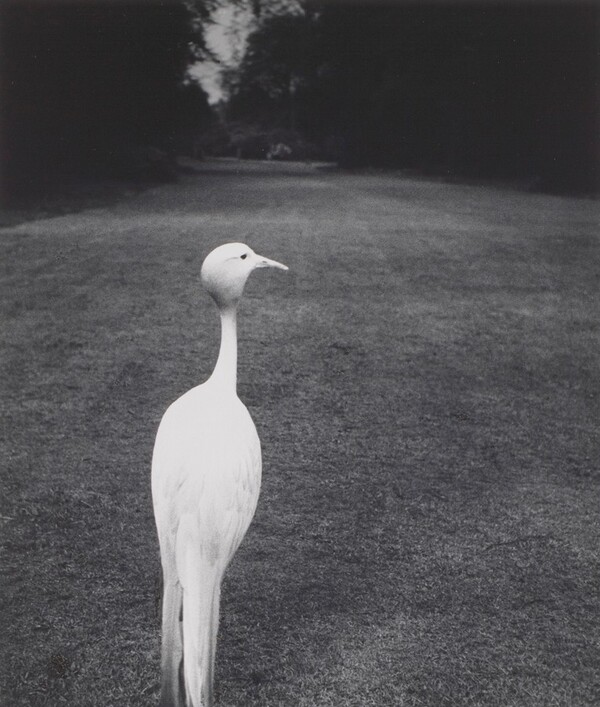 Evening at Kew Gardens