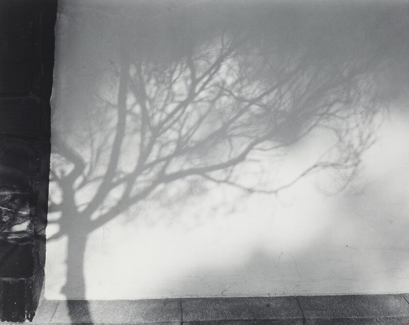 Paisaje inventado (Invented landscape)