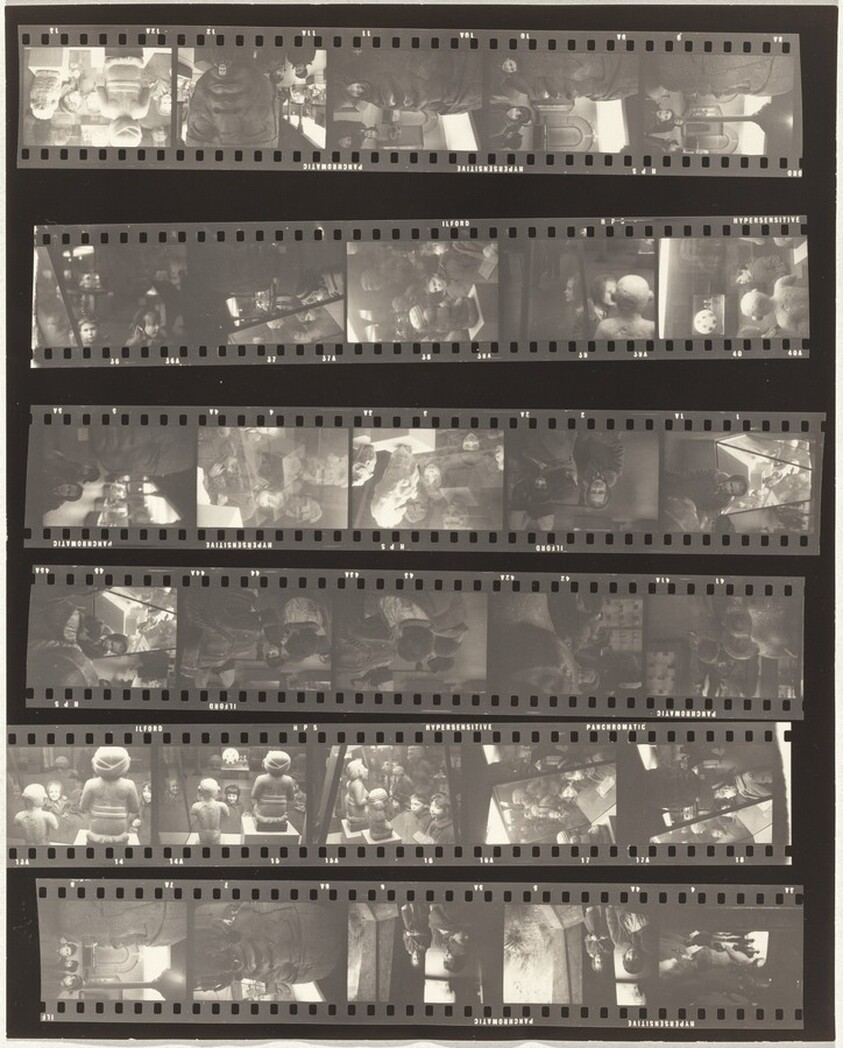 Museum of Natural History 1