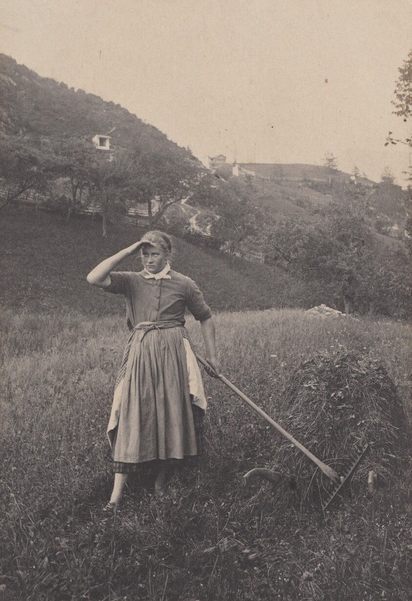 The Harvest, Mittenwald