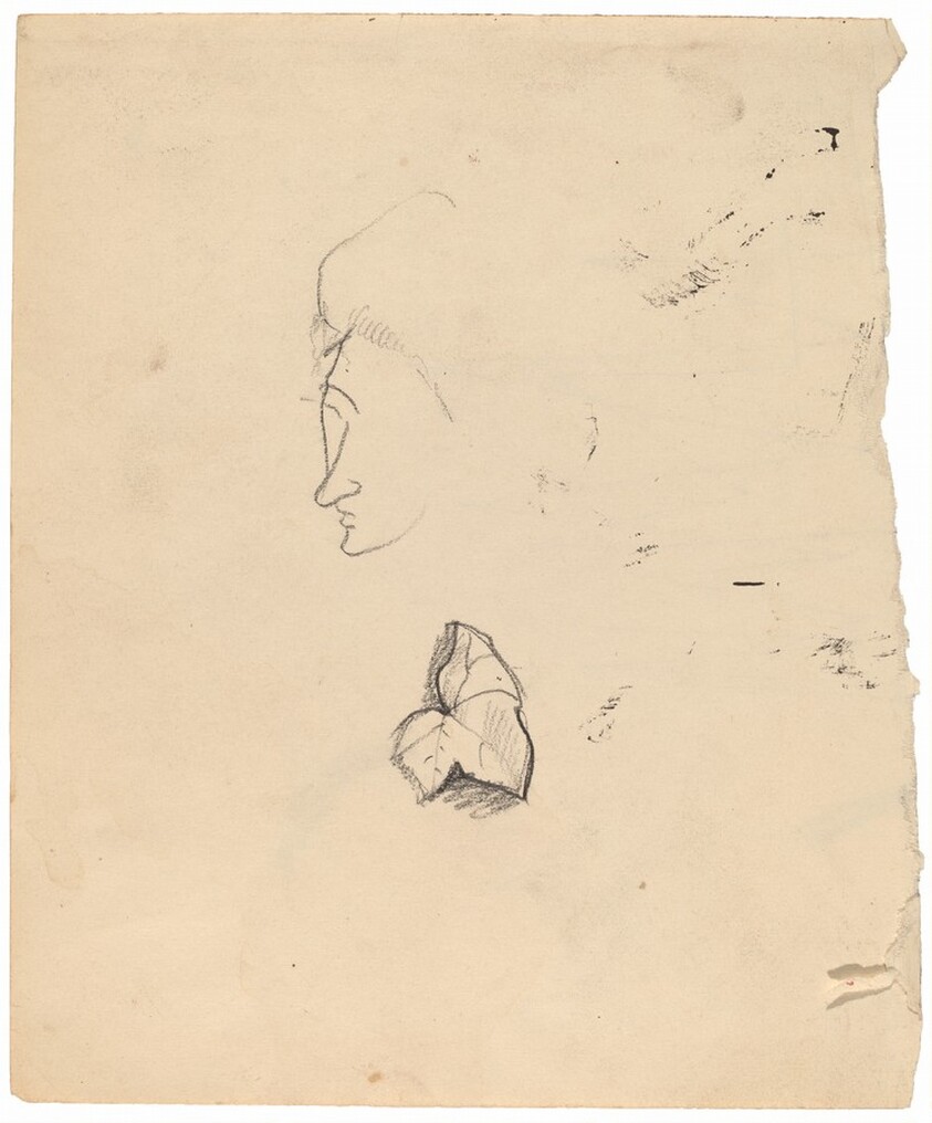 Sketch of a Woman's Face and a Leaf [recto]