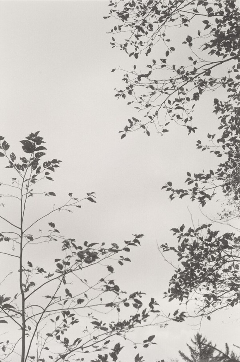 Neahkahnie Mountain, Oregon