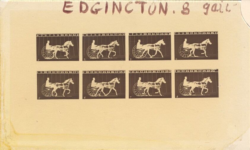 Internegative for Horses. Trotting. Abe Edgington. No. 28