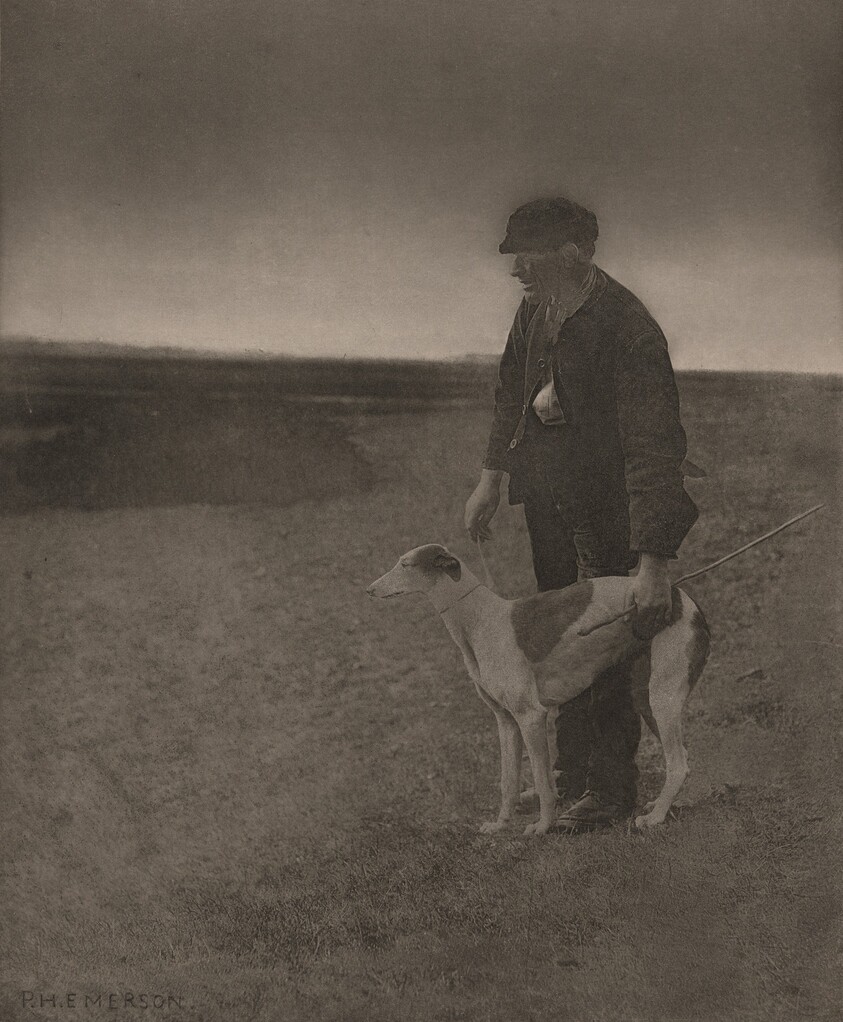 The Poacher-A Hare in View