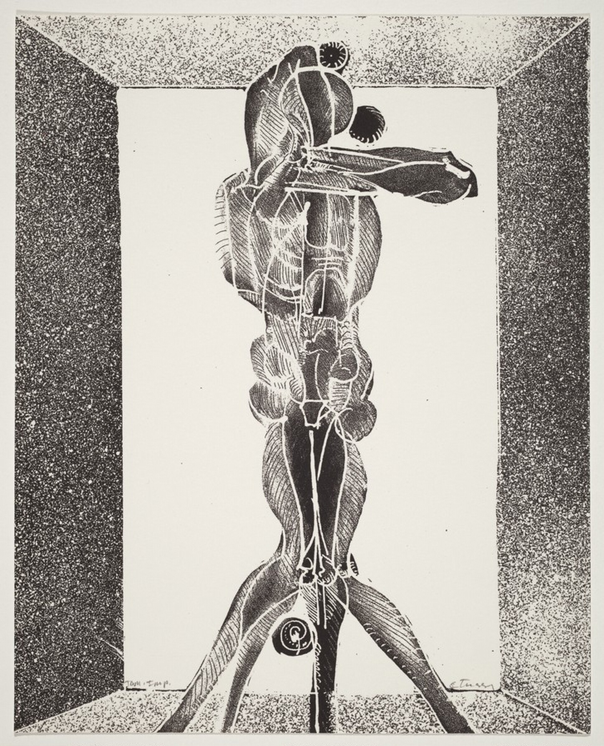 Untitled (Family of Acrobatic Jugglers XIV), Jan Stussy, 1970