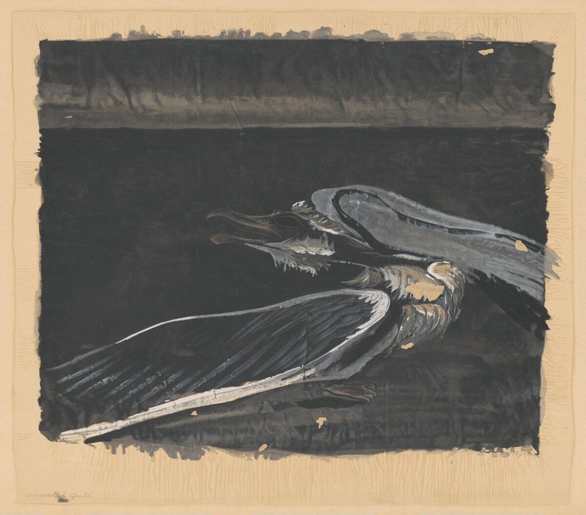 Wounded Gull