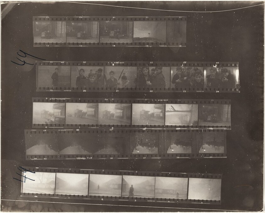 Rue de la Sablière--Paris 49A/Lines of My Hand 29