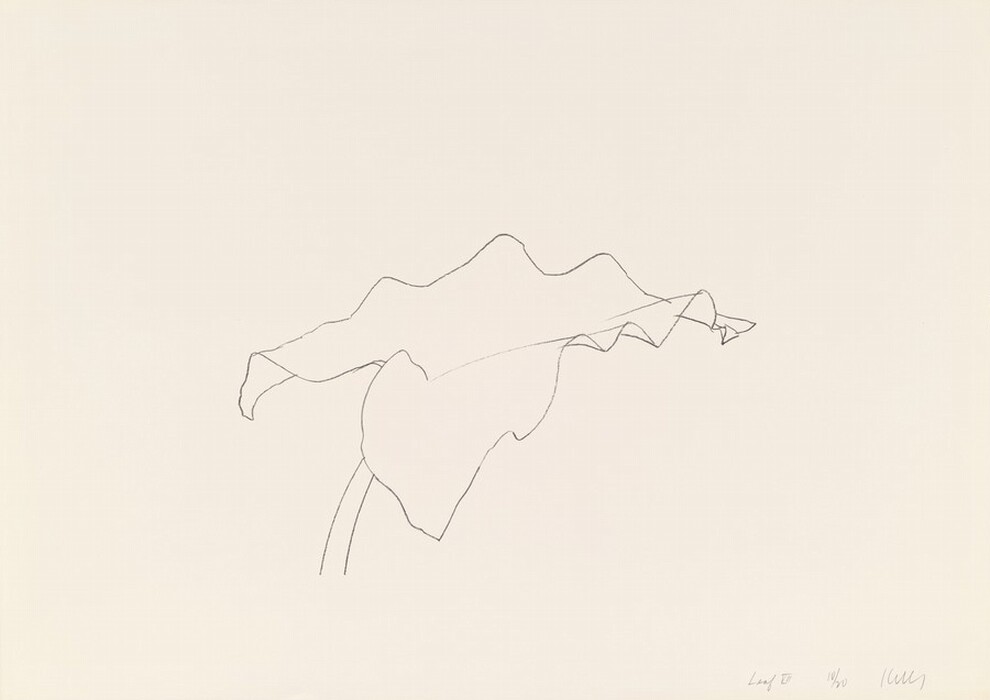 The image depicts a simple, abstract line drawing of a leaf. It is the largest object, centered to the right. The color palette is minimalist, with a white background and thin black lines outlining the leaf. The leaf's outline flows horizontally with gentle curves and slight angles.