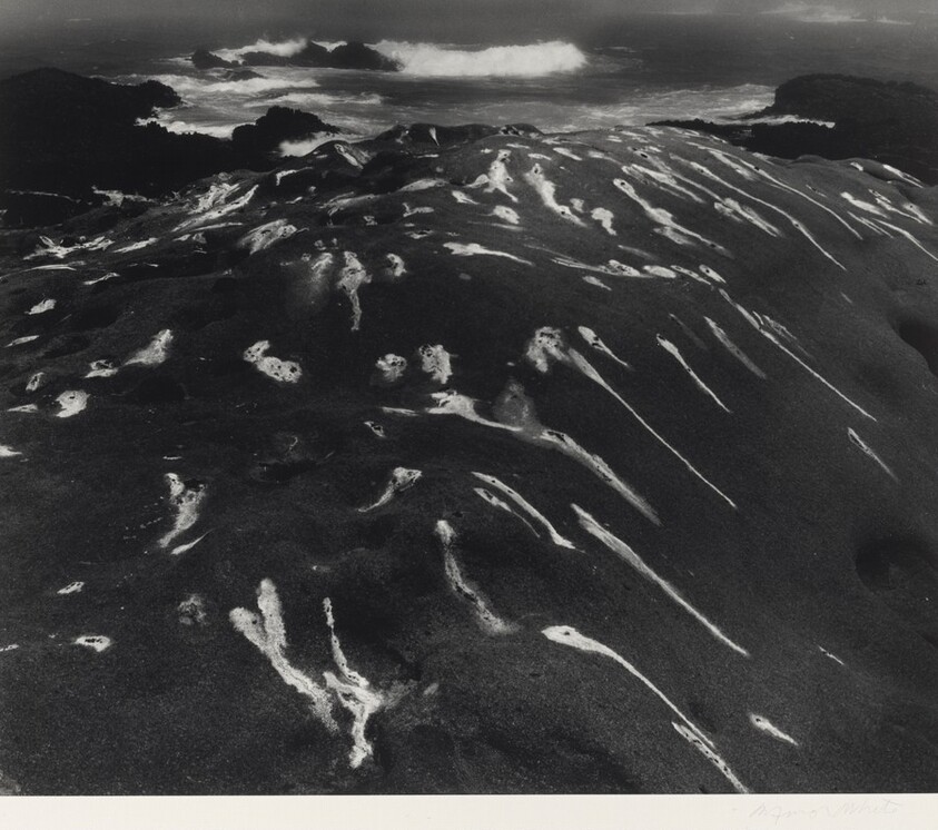 Birdlime and Surf, Point Lobos, California