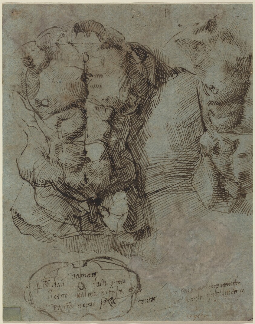 Studies of a Male Torso