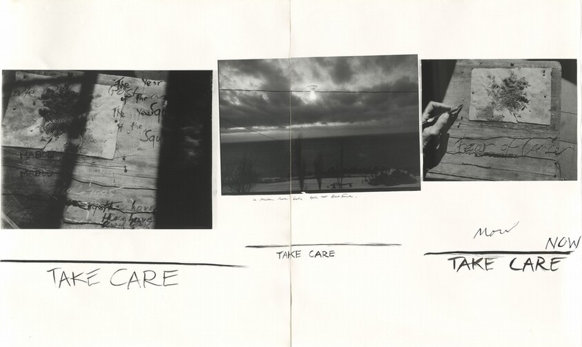 Fear of Cancer—Year of the Squirrel