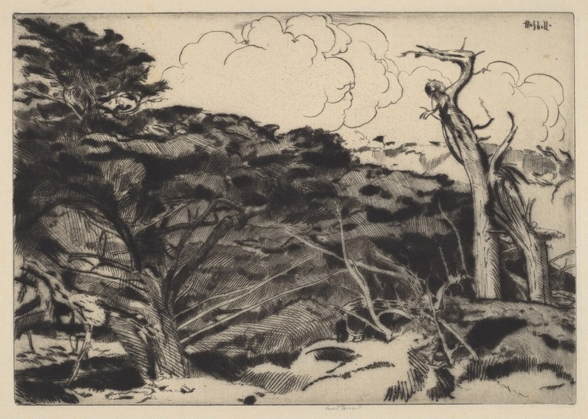 Dragons