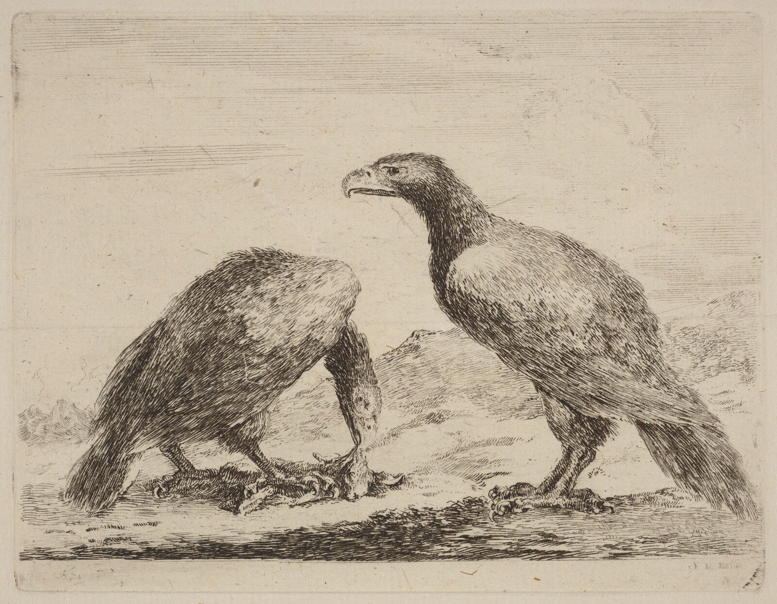 Two Eagles, One Eating a Small Lamb, Stefano Della Bella