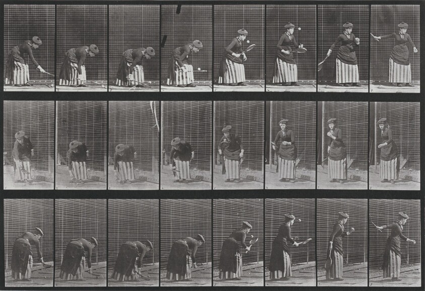 Plate Number 295. Lawn tennis