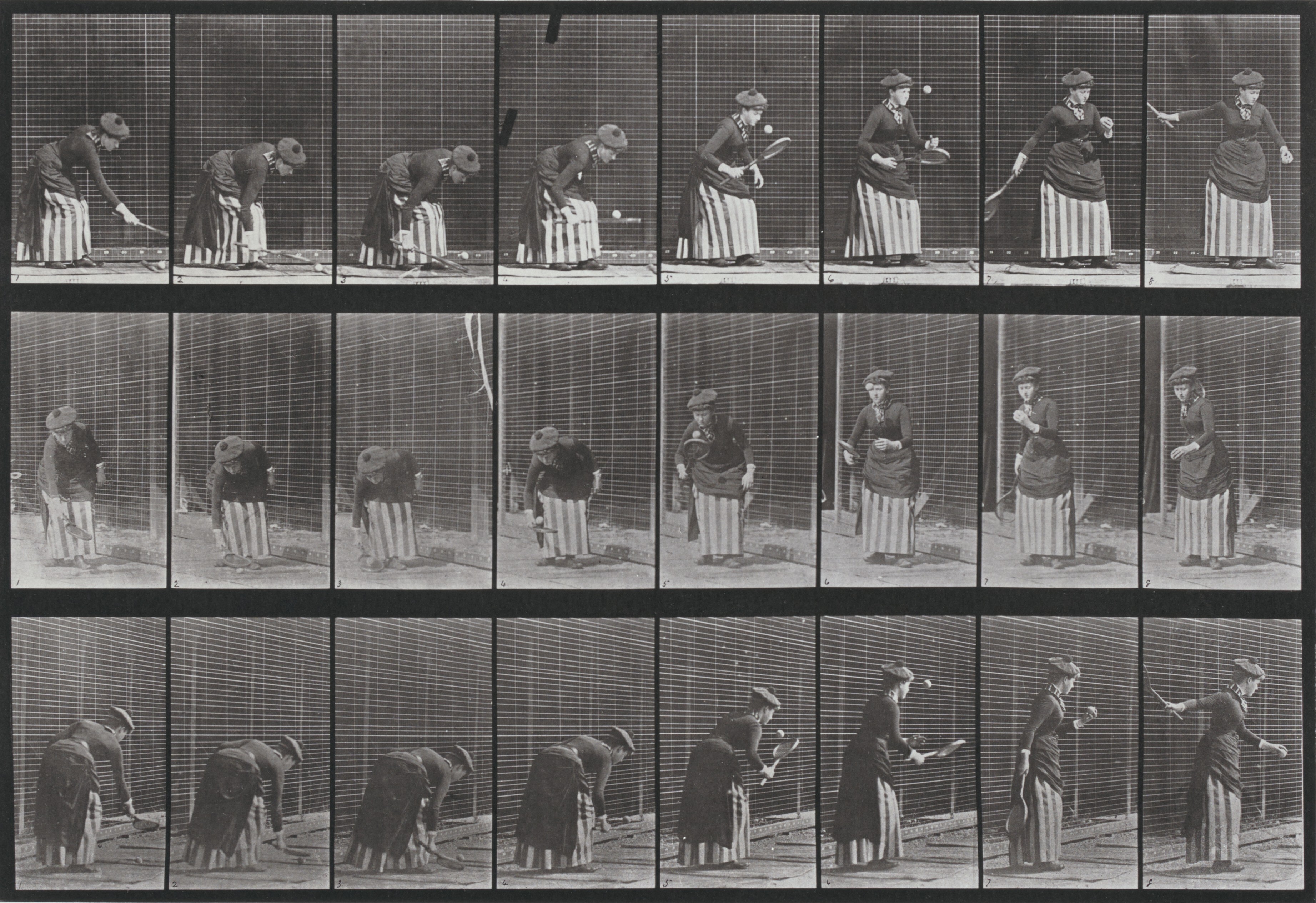 Eadweard Muybridge | National Gallery of Art