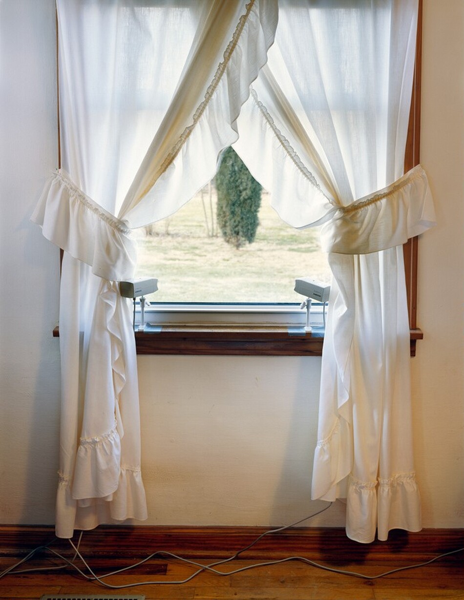 This photograph shows a window with sheer white curtains tied back on both sides. Outside the window, there is a grassy area with one dark-green tree partially visible. The window is centrally positioned, with curtains draped to either side and cords lying on the wooden floor below. The colors in the photograph include white, brown, and green.