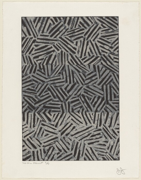 The image features thin, elongated, slightly irregular lines arranged in a dense, overlapping pattern on a dark background. The formation resembles a network or a collection of scattered matchsticks, evoking tangled branches or complex pathways.
