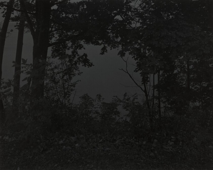 Untitled #16 (At Lake Erie)