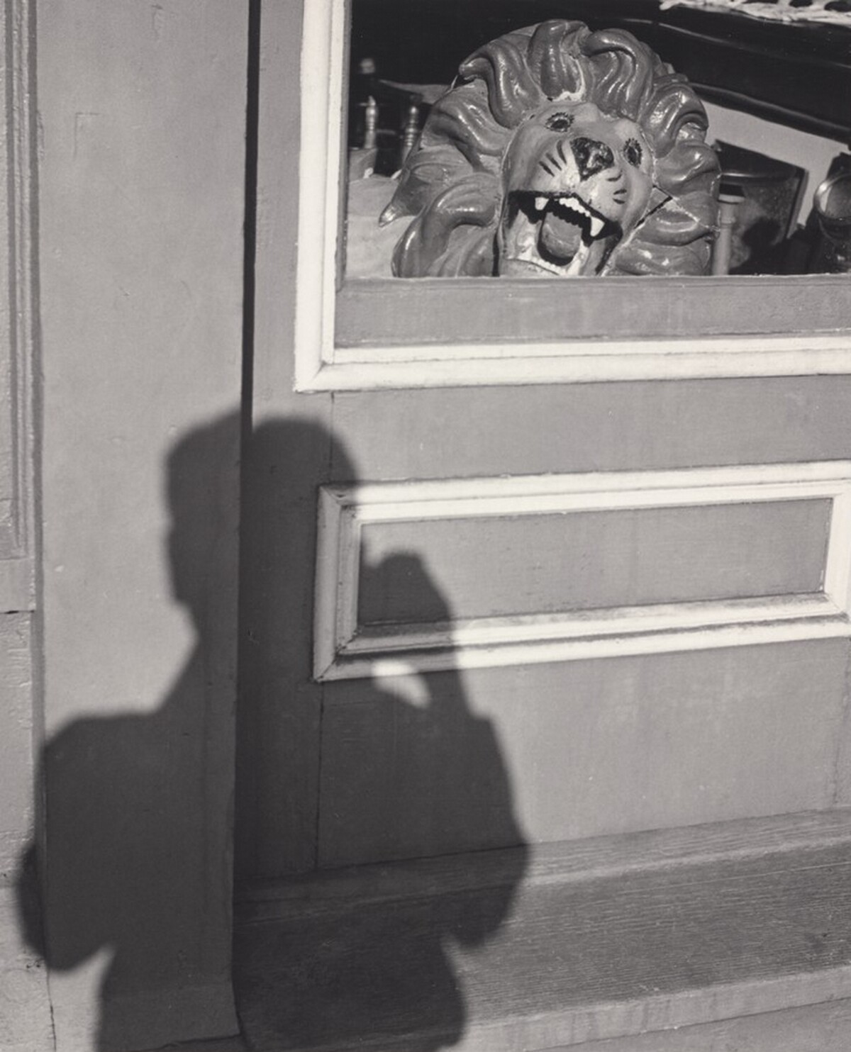 Lion and Shadow