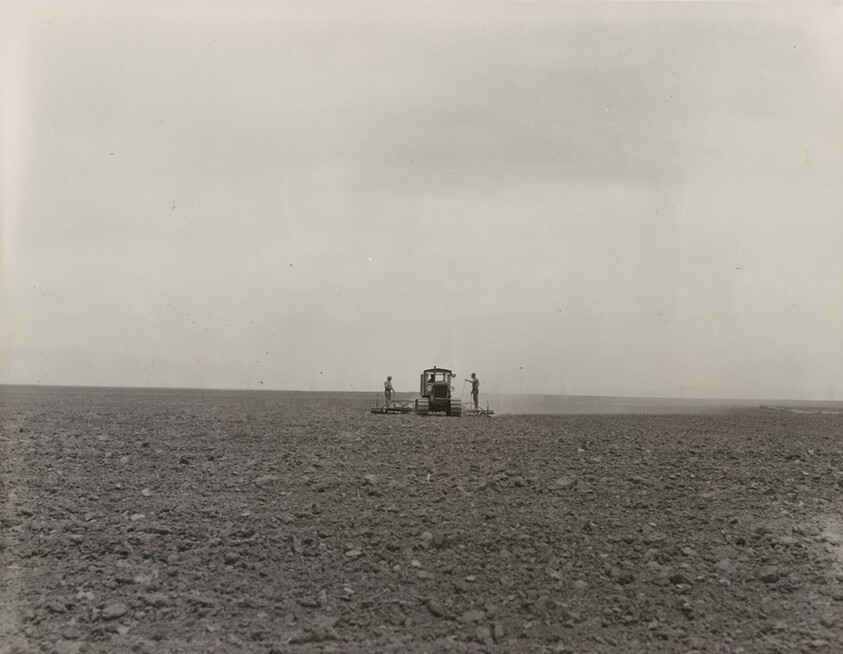 Harrowing a 2,000 acre wheat field which is allowed to fallow alternate years. Antelope Valley, Los Angeles County, California
