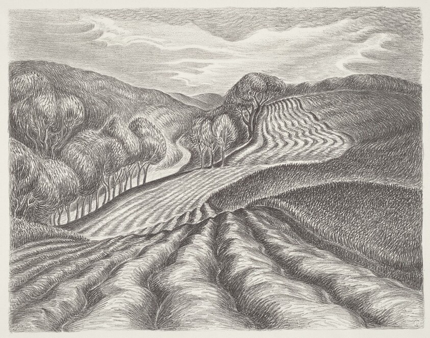 Ploughed Fields
