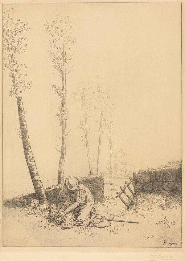 Finding the Sheep (Le mouton retrouve)