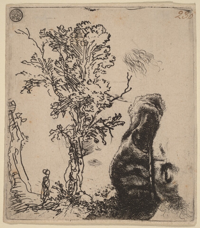 Sheet with Two Studies:  a Tree, and the Upper Part of a Head of the Artist Wearing a Velvet Cap