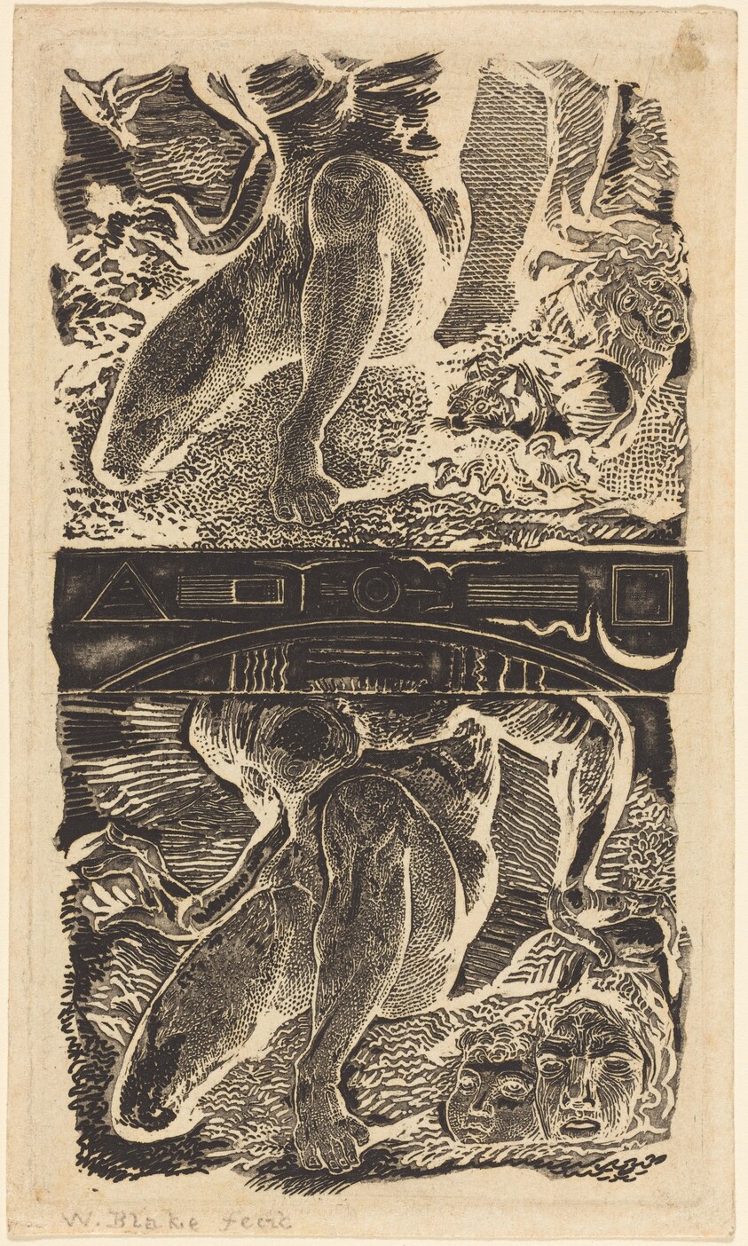 Unknown subject (Let Him look up into the Heaven and laugh in the bright air)