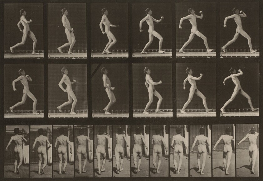 Plate Number 7. Walking