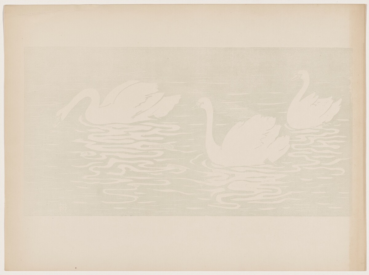 Les cygnes