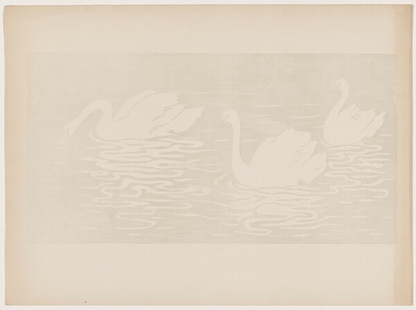 Les cygnes