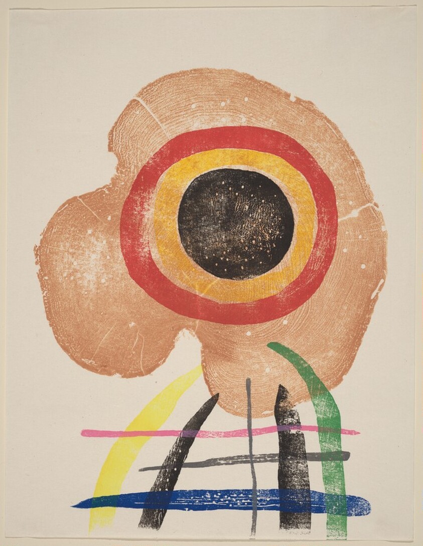 Untitled [plate XXIV]