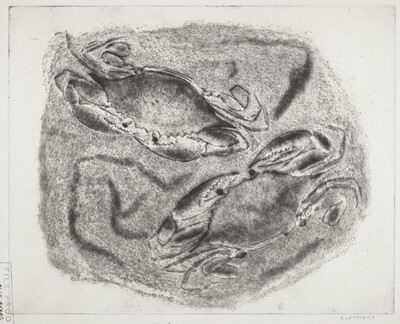Blue Crabs